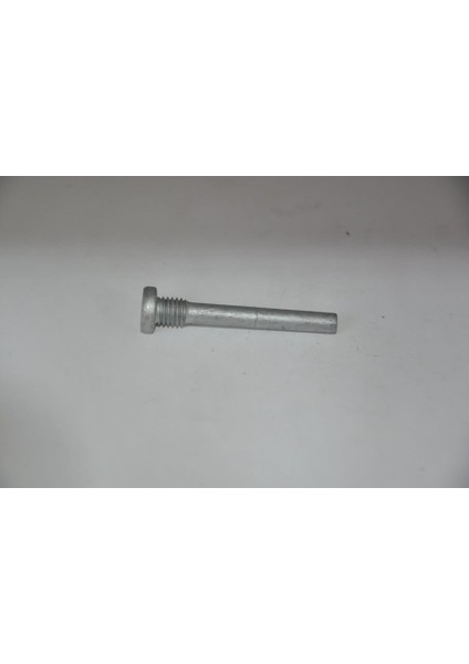 Kapı Menteşe Pimi Perçinli R9-R11-R19-MGN-CLIO-EXP