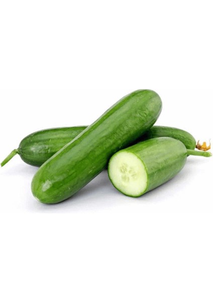 Atalık Çengelköy Salatalık Tohumu Cucumis Sativus 30 Adet Tohum modelleri