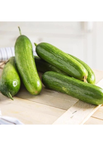 Atalık Çengelköy Salatalık Tohumu Cucumis Sativus 30 Adet Tohum indirimleri