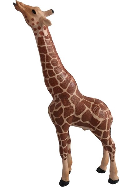 Figürü, Zürafa C-Zürafa (Yurt Dışından) modelleri