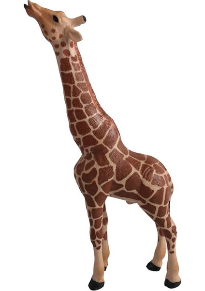 Figürü, Zürafa C-Zürafa (Yurt Dışından) fırsatları