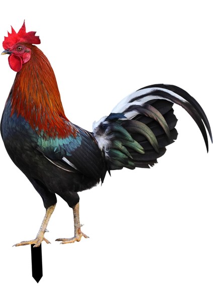 Heykeli Kazıkları Tavuk Heykeli Kazıkları Için Süslemeler (Yurt Dışından) modelleri