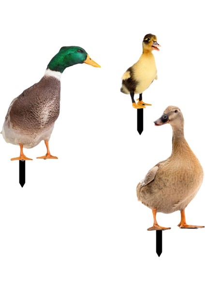 3 Ördek Heykeli Kazık Süslemeleri Açı Ördek (Yurt Dışından) fiyatları