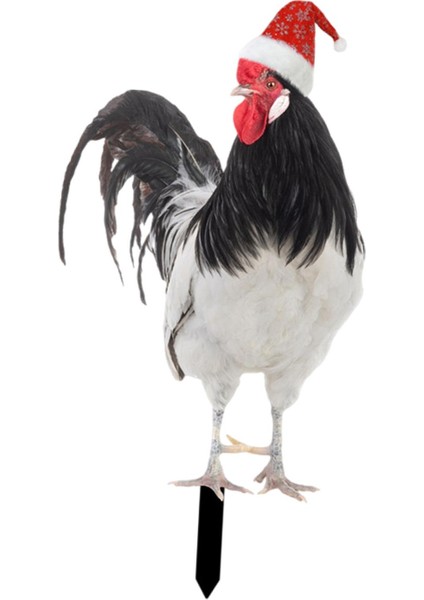 Heykeli, Kazık Şeklinde Kazığı, Gerçekçi (Yurt Dışından) fırsatları