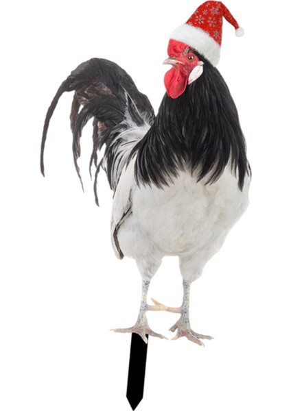 Heykeli, Kazık Şeklinde Kazığı, Gerçekçi (Yurt Dışından) indirimleri