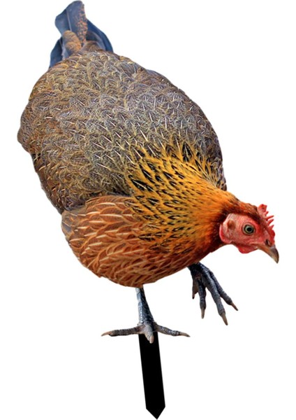 Heykel Kazıklar Heykelcikleri Iş Açık Çim A (Yurt Dışından)