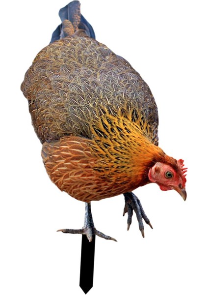 Heykel Kazıklar Heykelcikleri Iş Açık Çim A (Yurt Dışından) fiyatları