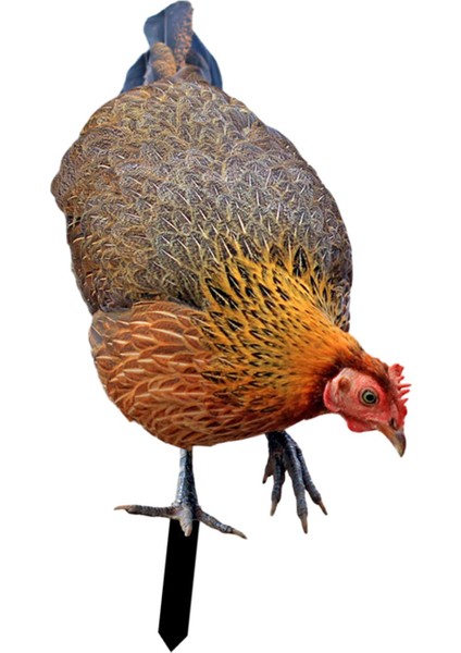 Heykel Kazıklar Heykelcikleri Iş Açık Çim A (Yurt Dışından) modelleri