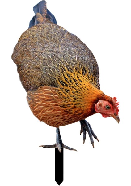 Heykel Kazıklar Heykelcikleri Iş Açık Çim A (Yurt Dışından) fırsatları