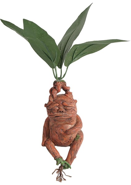 Ev Dekorasyonu Dış Dekoru (Yurt Dışından)