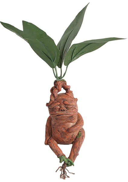 Ev Dekorasyonu Dış Dekoru (Yurt Dışından) fiyatları