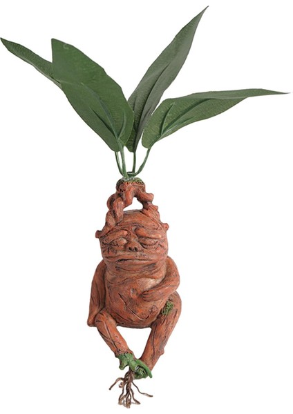 Ev Dekorasyonu Dış Dekoru (Yurt Dışından) modelleri