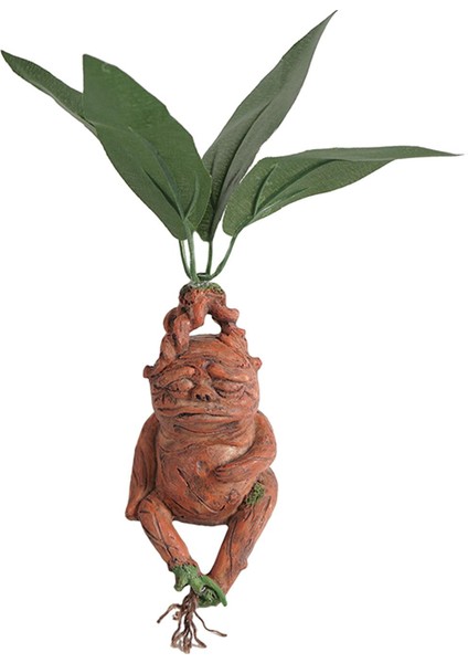 Ev Dekorasyonu Dış Dekoru (Yurt Dışından) indirimleri