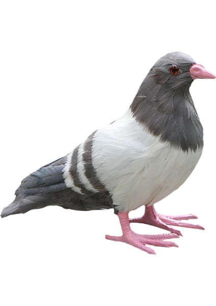 Simülasyon Güvercin Heykeli Dekor Canlı Icı El I Heykelleri Ayakta Gri (Yurt Dışından)