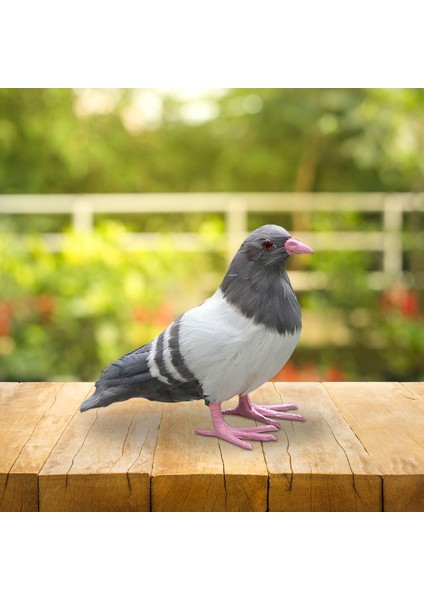 Simülasyon Güvercin Heykeli Dekor Canlı Icı El I Heykelleri Ayakta Gri (Yurt Dışından) modelleri