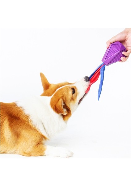 Isırıklara ve Yiyecek Sızıntısına Karşı Dayanıklı ve Köpekler Için Ses Çıkaran Etkileşimli Evcil Hayvan Oyuncağı (Yurt Dışından)