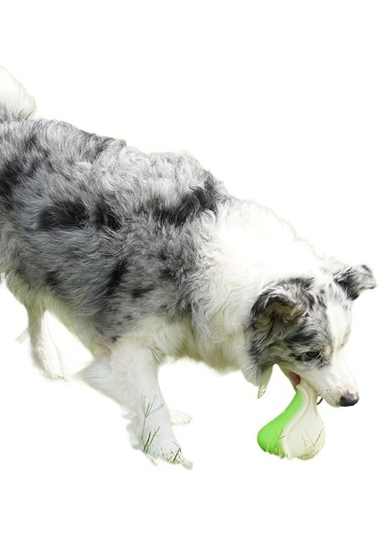 Evcil Hayvan Oyuncakları Çiğneme Dişleri Temizleme Dişleri Taşlamaya Dayanıklı Köpek Oyuncakları (Yurt Dışından) fırsatları