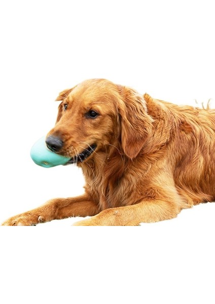 Evcil Hayvan Oyuncakları Ses Çıkarır, Isırmaya Dayanıklı, Etkileşimli Küçük, Orta ve Büyük Köpek Oyuncakları (Yurt Dışından) fırsatları