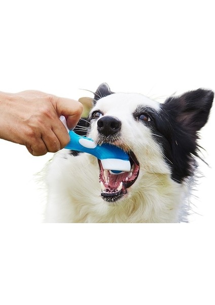 Evcil Hayvan Oyuncakları Isırmaya Dayanıklı Diş Temizleyici Köpek Oyuncakları (Yurt Dışından) fiyatları
