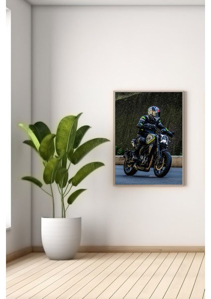 A3 CLX-250 Baskılı Poster