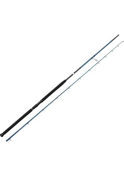 Sgs2 Shore Jigging 10'/3.05M 60-150 gr 2 Parça
