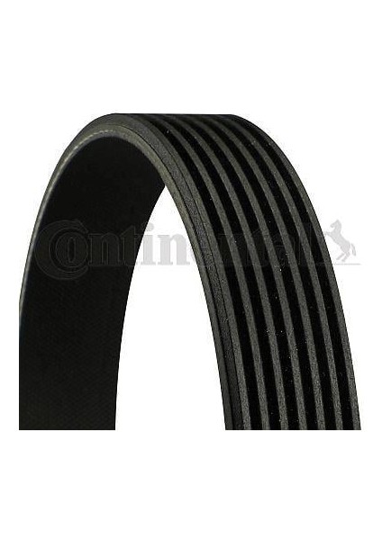 Kanallı Kayış Ford Transit 300-330-350 2.4tdcı 06 350-430-460 2.4tdcı 3.2tdcı 06