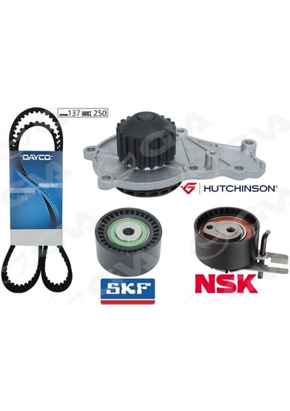 Devirdaimli Triger Seti 137X254 P206-P207-P307-P308-P407-P3008-EXPERT-PARTNER-BERLINGO-JUMPY-C2-C3 -C4-C5-Xsara-Focus Iı-Fıesta V-Vı Volvo S40-C30-V50-FIAT Scudo Euro4 1.6 Hdı-Tdci