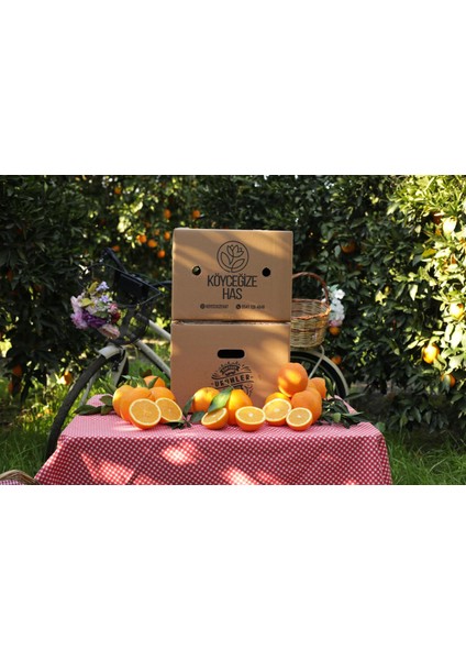 5 kg Portakal 5 kg Mandalina fiyatları