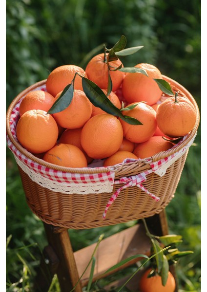 5 kg Portakal 5 kg Mandalina indirimleri