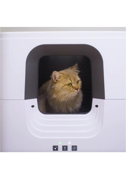 Aclıum Otomatik Kedi Tuvaleti 55X57X65CM