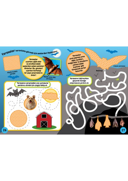National Geographic Kids Börtü Böcek Çıkartmalı Aktivite Kitabı fiyatları