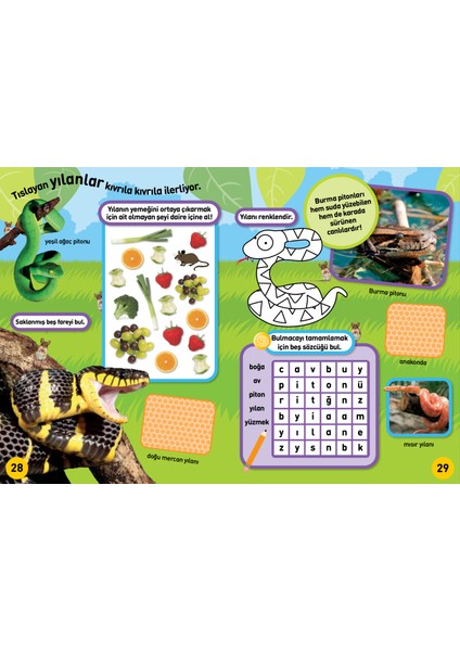National Geographic Kids Börtü Böcek Çıkartmalı Aktivite Kitabı fırsatları