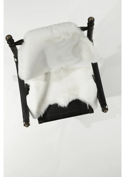 Rabbit Deluxe White