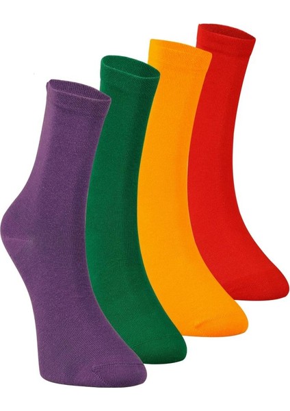 Foursolos Kadın Pamuk Soket, 4'lü Kutu Çorap Yeşil, Mor, Sarı, Kırmızı