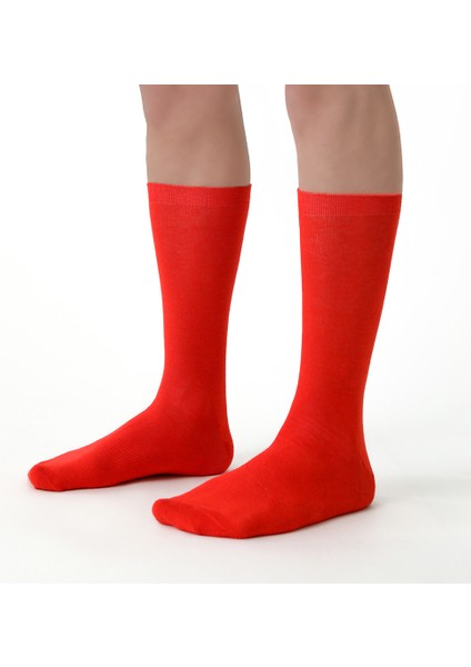 Foursolos Kadın Pamuk Soket, 4'lü Kutu Çorap Yeşil, Mor, Sarı, Kırmızı modelleri