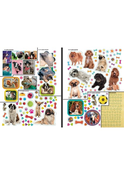 National Geographic Kids Köpekler Çıkartmalı Aktivite Kitabı fırsatları