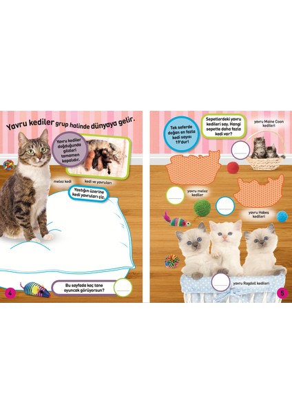 National Geographic Kids Yavru Hayvanlar Çıkartmalı Faaliyet Kitabı modelleri