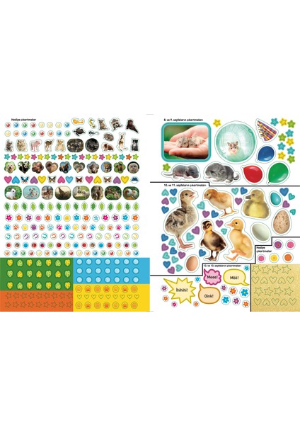 National Geographic Kids Yavru Hayvanlar Çıkartmalı Faaliyet Kitabı fırsatları