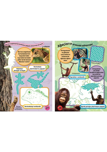 National Geographic Kids - Vahşi Orman Çıkartmalı Faaliyet Kitabı fırsatları