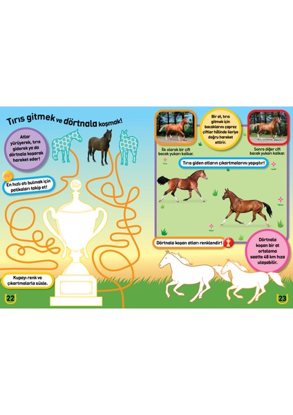 National Geographic Kids Poniler ve Atlar Çıkartmalı Aktivite Kitabı modelleri