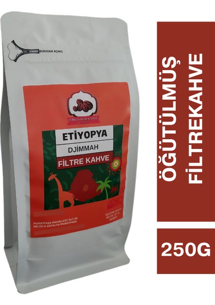Etiyopya Filtre Kahve Öğütülmüş Filtre Kahve 250 gr fiyatları