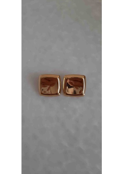 Kare Çelik Küpe fiyatları