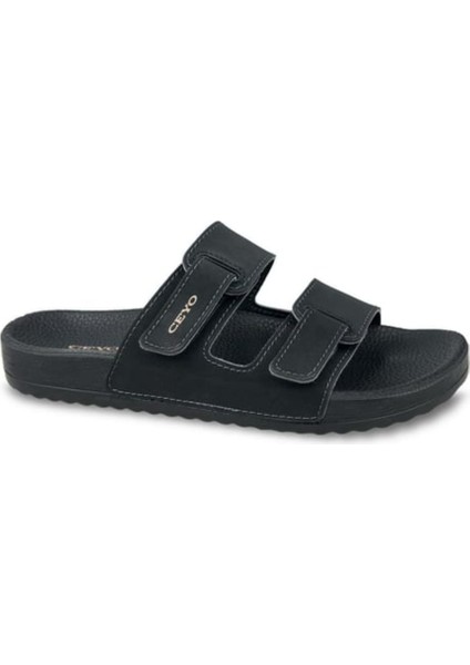 Bahama Ceyo Anotomikterlik