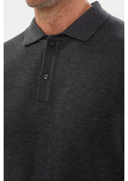Classics Polo Yaka Basic Uzun Kollu Triko- T-1006