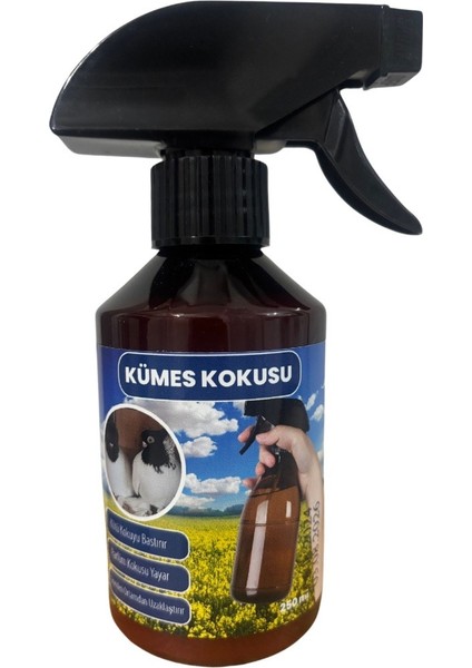 Kümes Kokusu