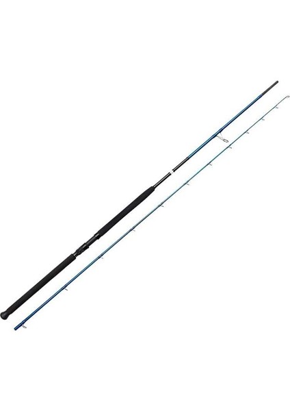 Savage Gear Sgs2 Shore Jigging 9'6''/2.90M 20-80 gr 2 Parça