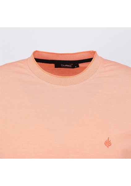 IP-201 - IP-201.106 - Somon fırsatları