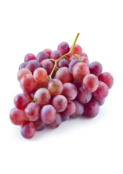 1 Adet Crimson Seedles Çekirdeksiz Üzüm Fidanı Açık Kök