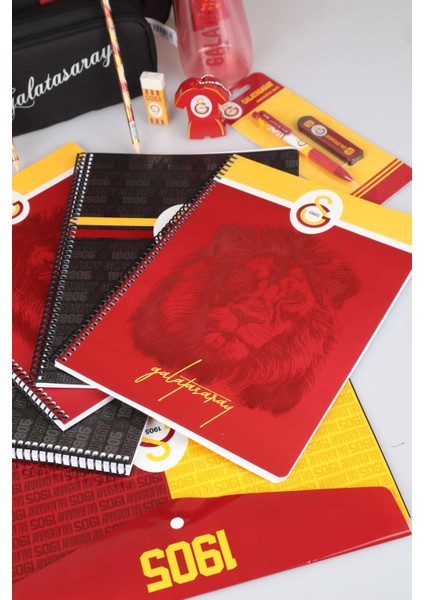 Lisanslı Galatasaray Okul Çantası,kalem ÇANTASI,700 ml Matara,4 Adet Defter Ile Kırtasiye Seti