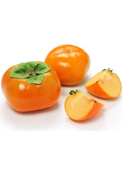 Rojo Brillante Trabzon Hurması ( Cennet Meyvesi) 3 Yaş Tüplü ve fiyatları